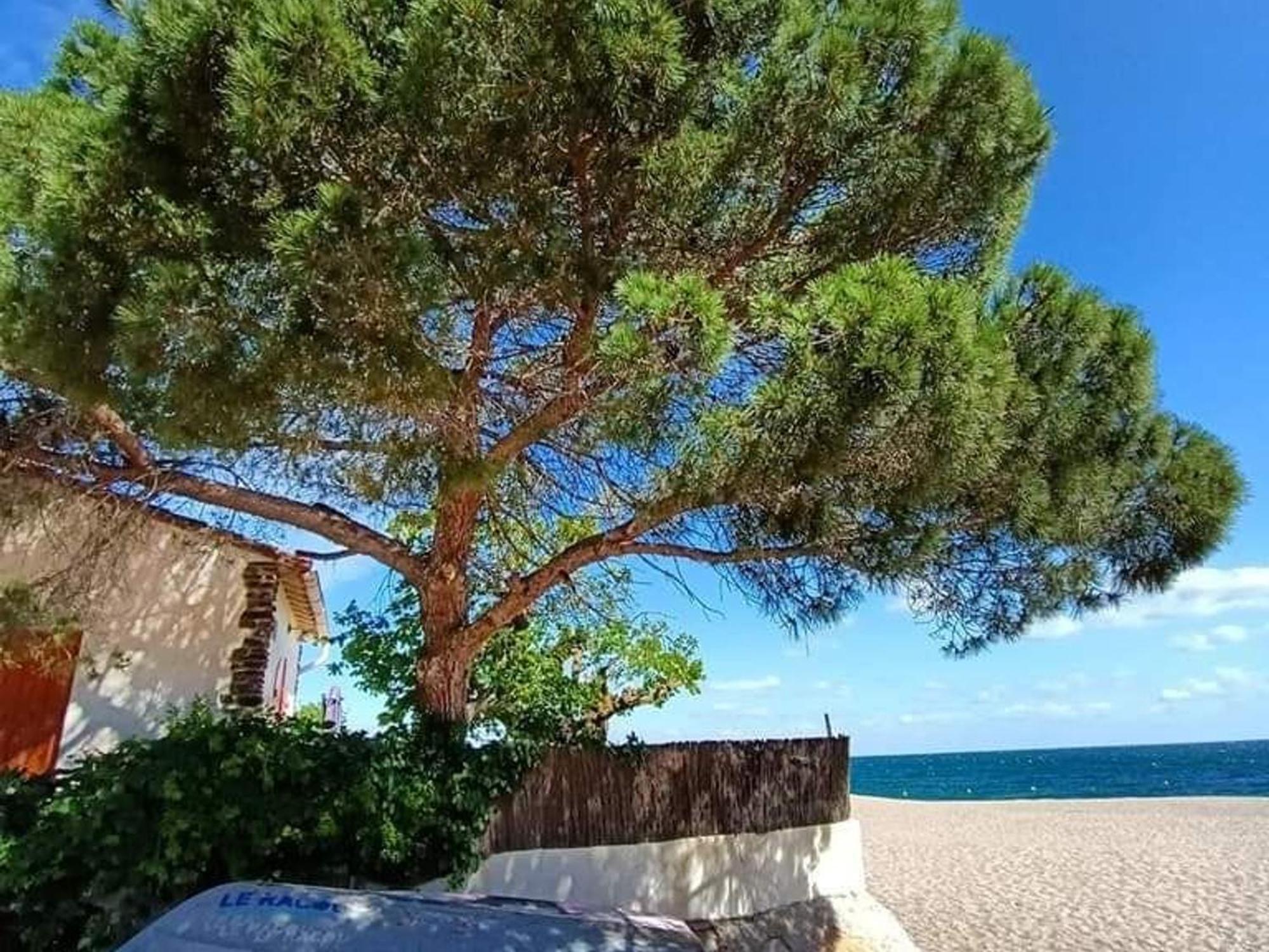 Apartment 2p A Argeles-sur-mer: Clim, Terrasse, Piscine, Parking, Proche Plages Et Commerces - Fr-1-776-14